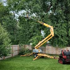 Best Hedge Trimming  in Lock Haven, PA