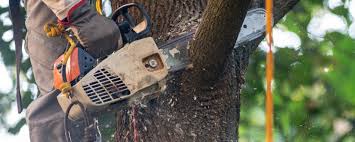 Best Soil Testing and Treatment  in Lock Haven, PA