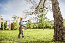 Mulching Services in Lock Haven, PA